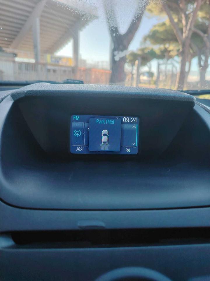 Ford Ford Ecosport usata, con 4 cilindri