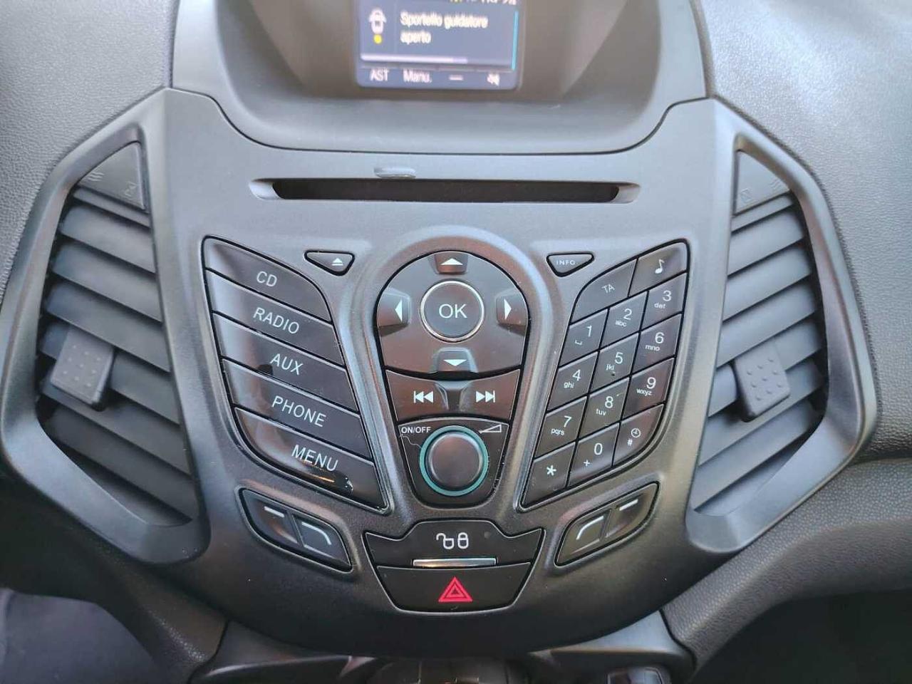 Ford Ford Ecosport usata, con 5 porte