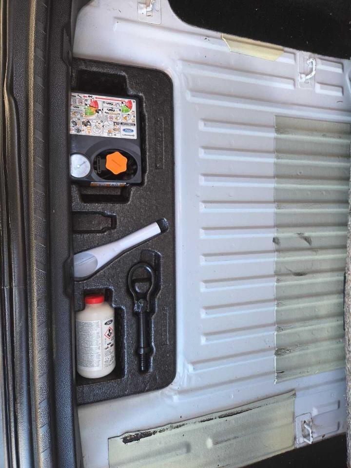 Ford Ford Ecosport usata 12