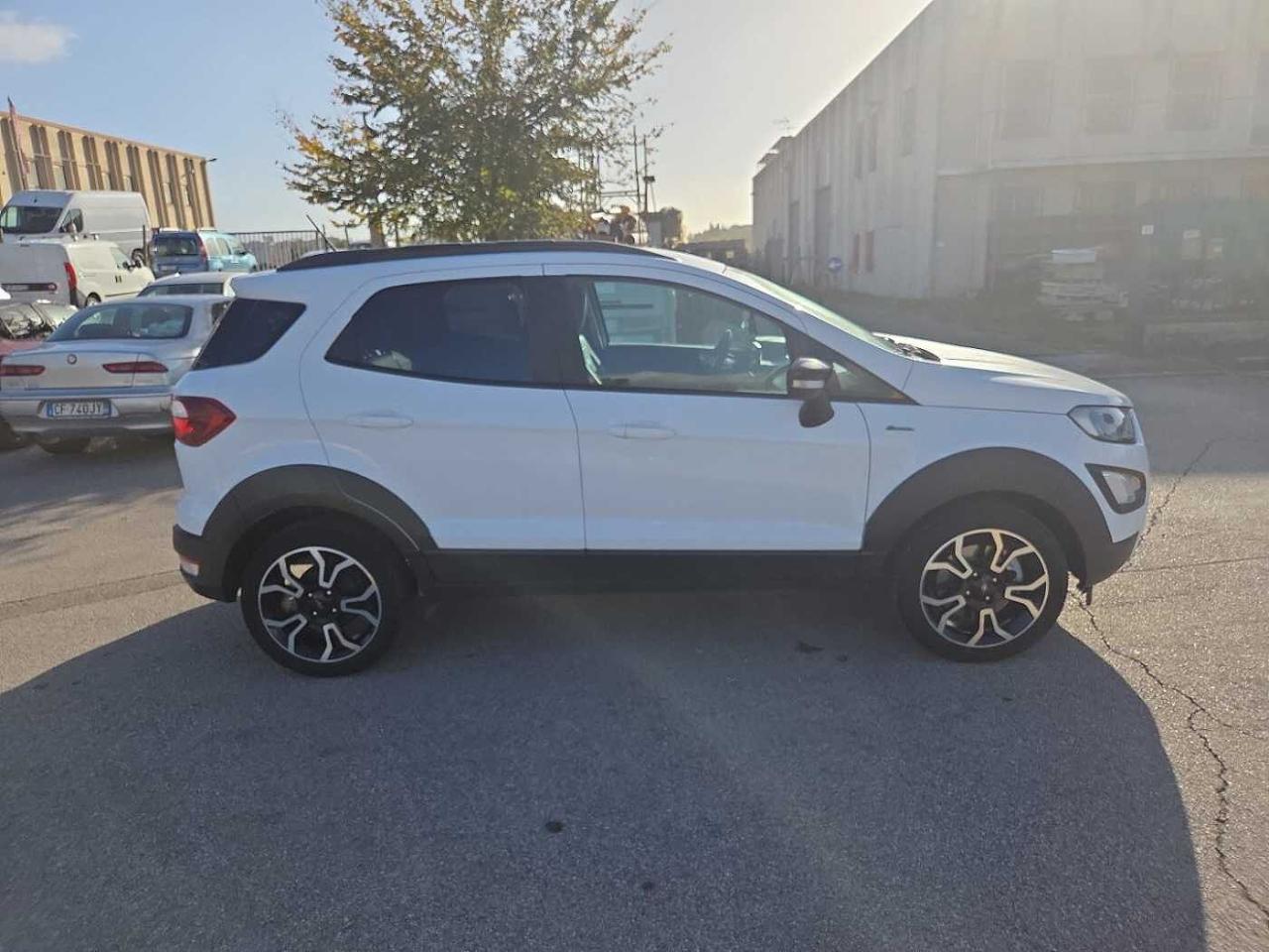 Ford Ford Ecosport usata 19