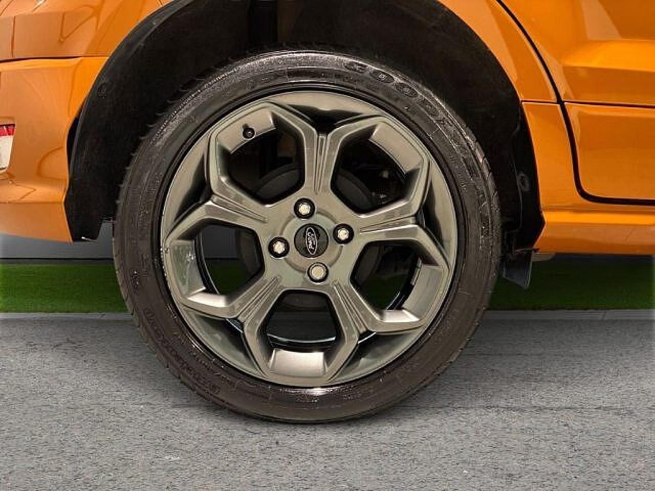 Ford Ford Ecosport usata 19