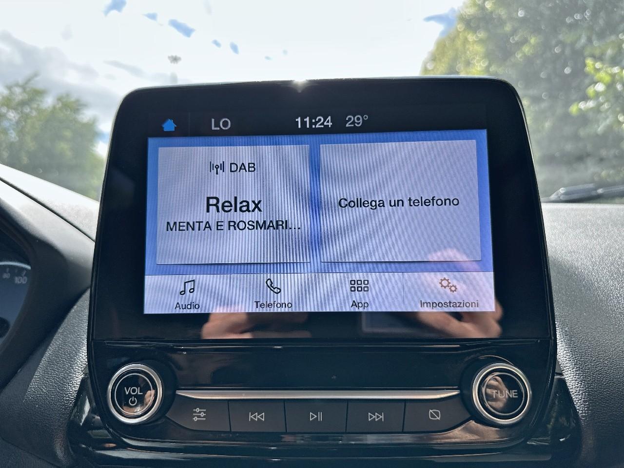 Ford Ford Ecosport usata 5