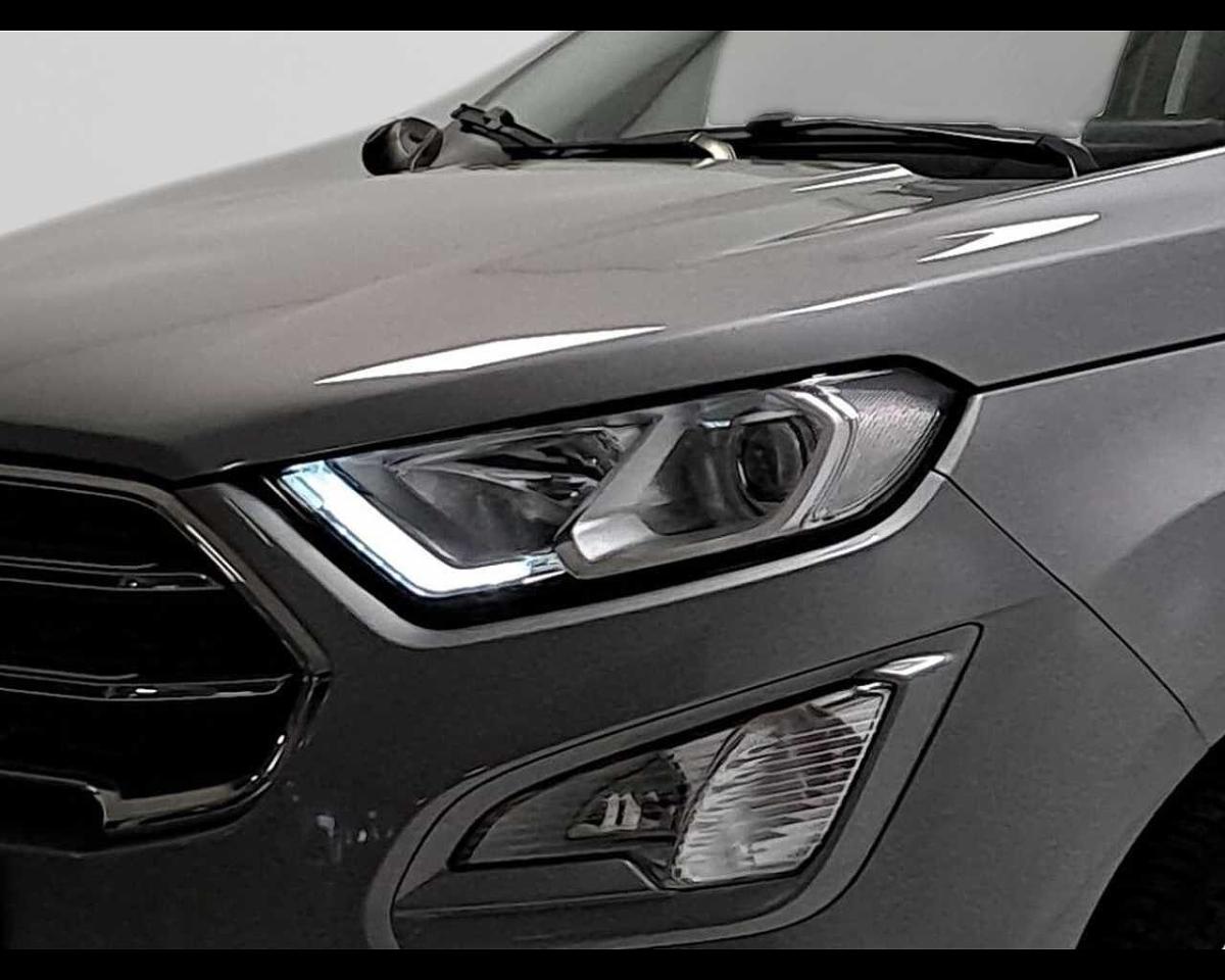 Ford Ford Ecosport usata 5