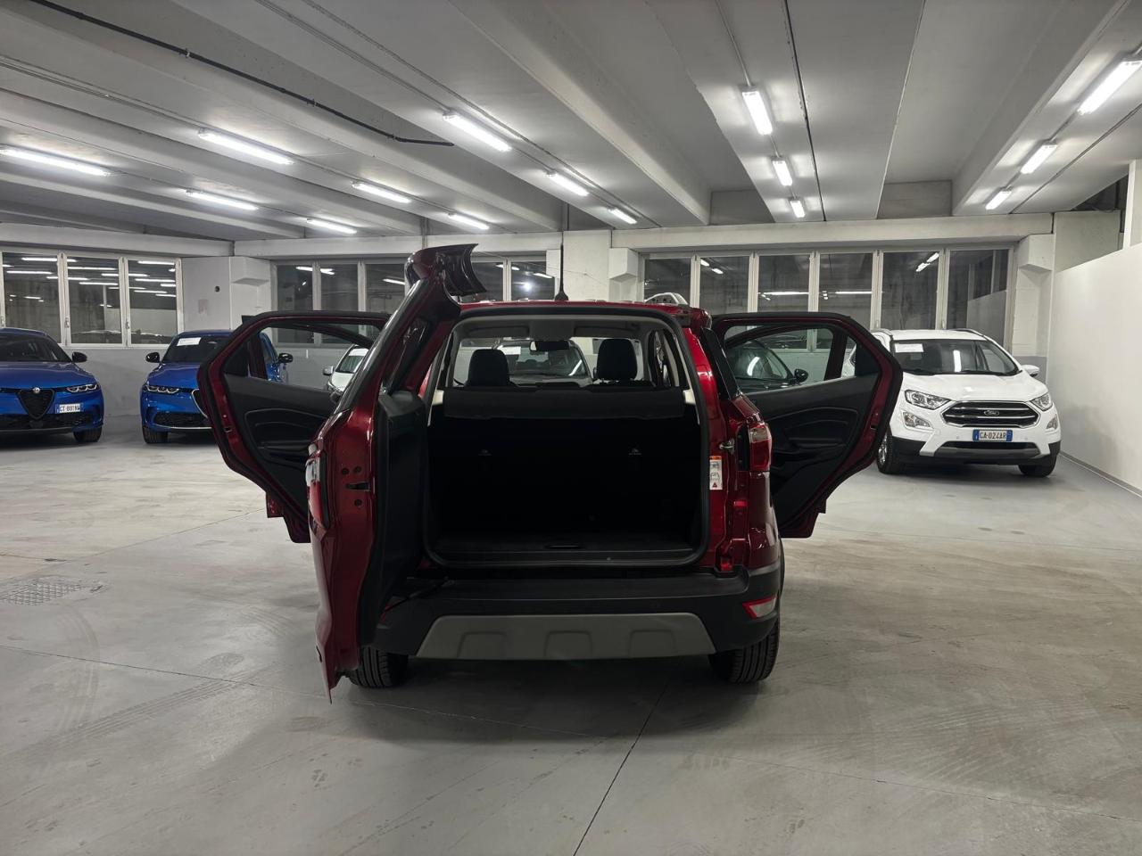 Ford Ford Ecosport usata, con Portapacchi