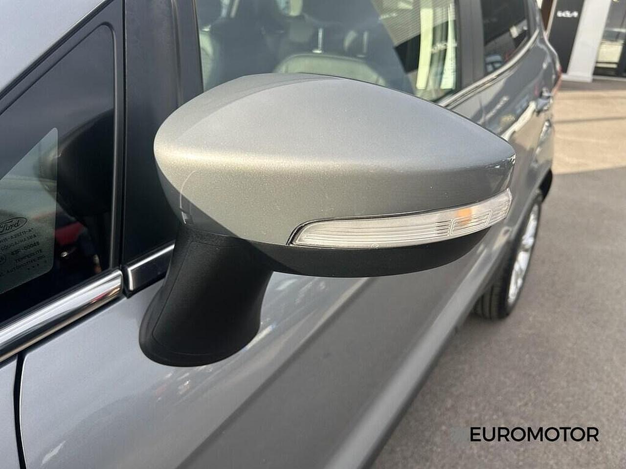 Ford Ford Ecosport usata, con GPS