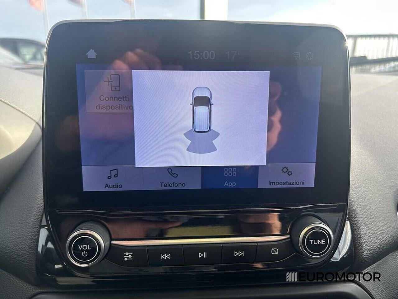 Ford Ford Ecosport usata 9