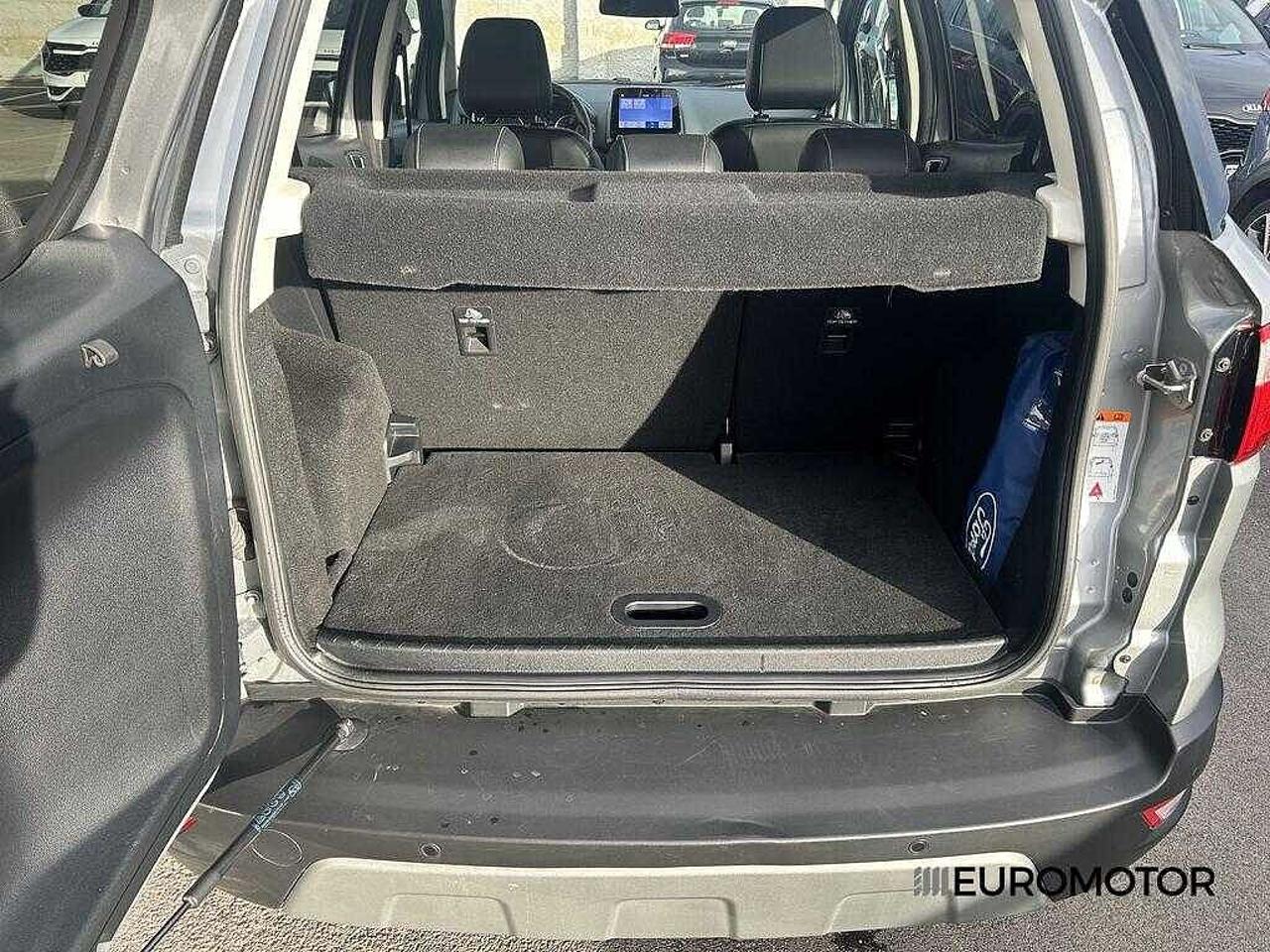 Ford Ford Ecosport usata 16