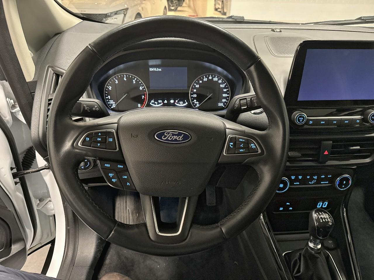 Ford Ford Ecosport usata, con Vetri Oscurati