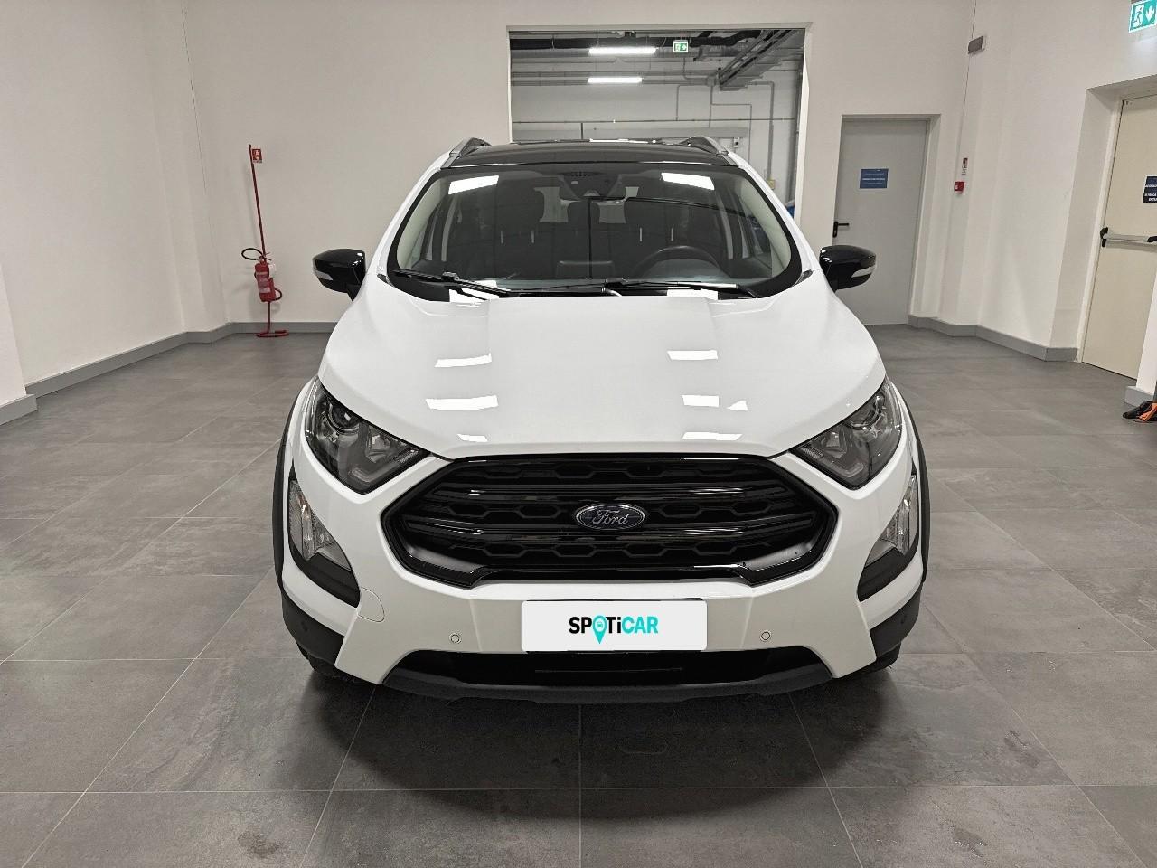 Ford Ford Ecosport usata 11