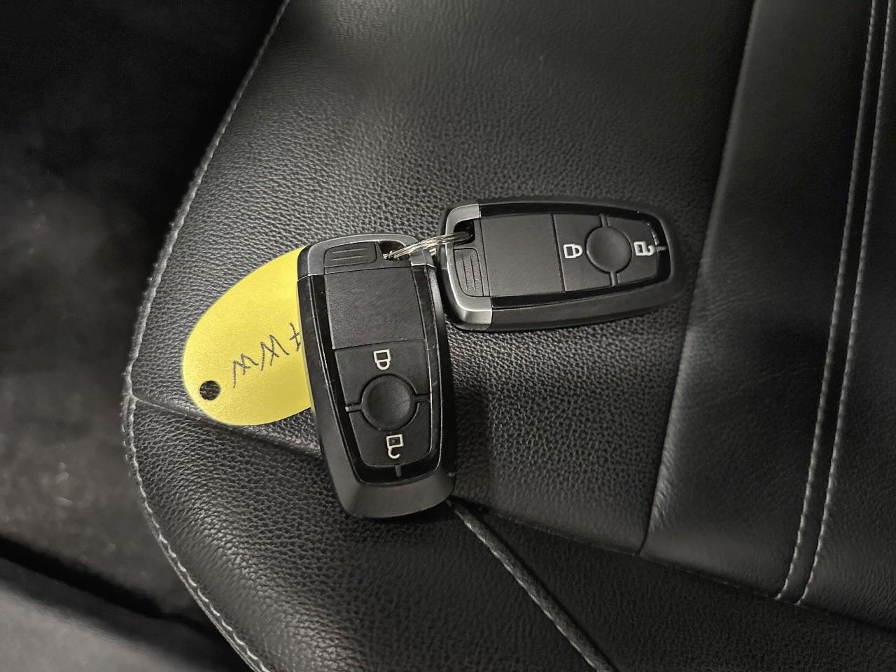 Ford Ford Ecosport usata 12