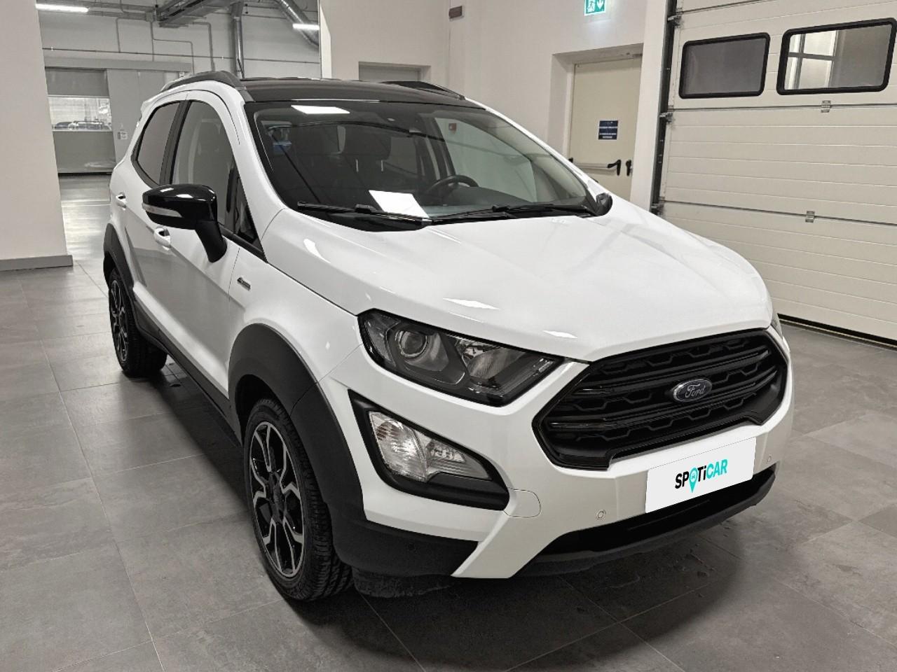 Ford Ford Ecosport usata 15