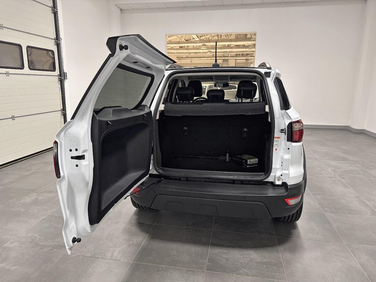 Ford Ford Ecosport usata 18