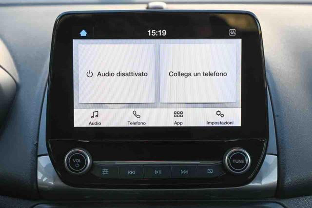 Ford Ford Ecosport usata 9