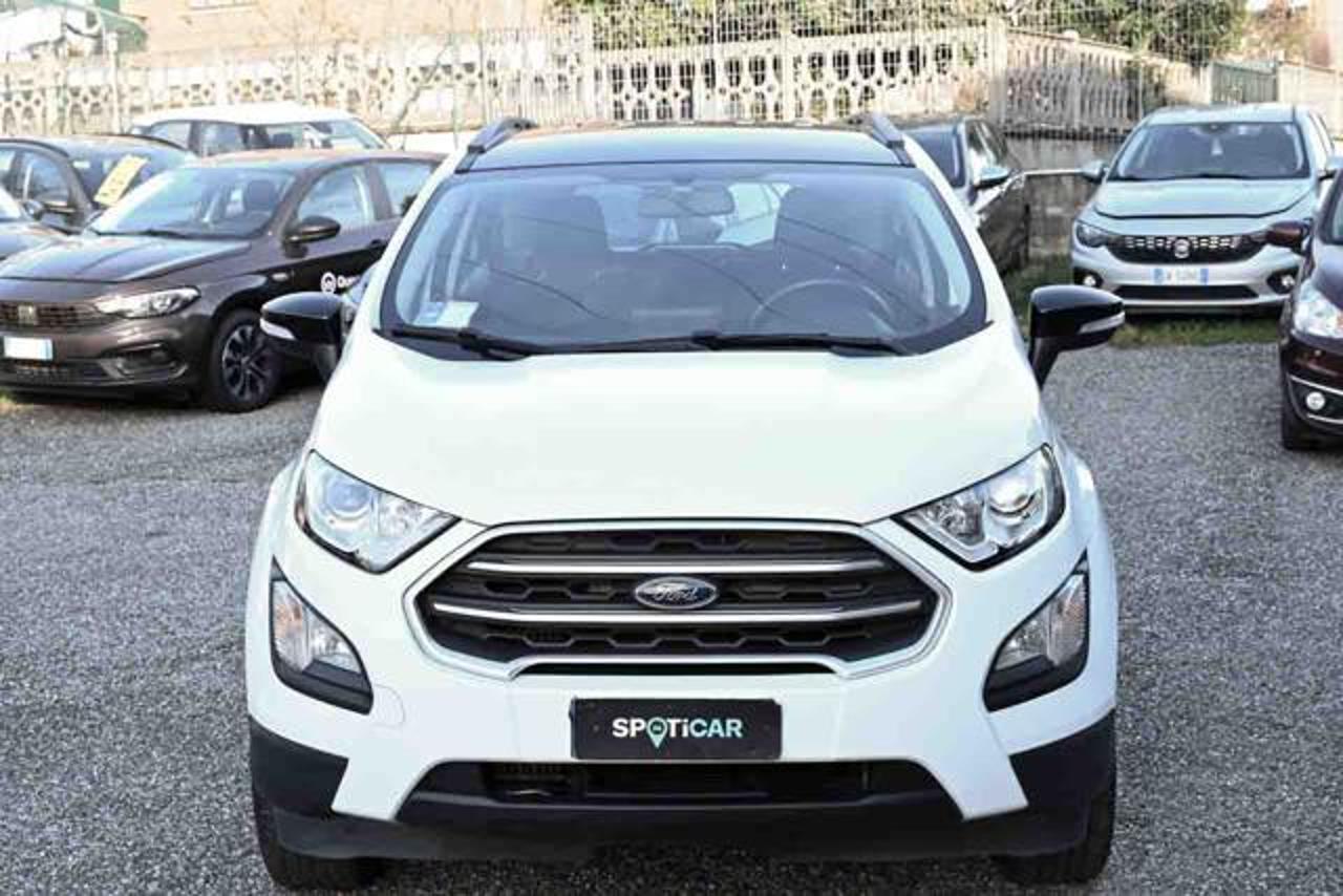 Ford Ford Ecosport usata 11