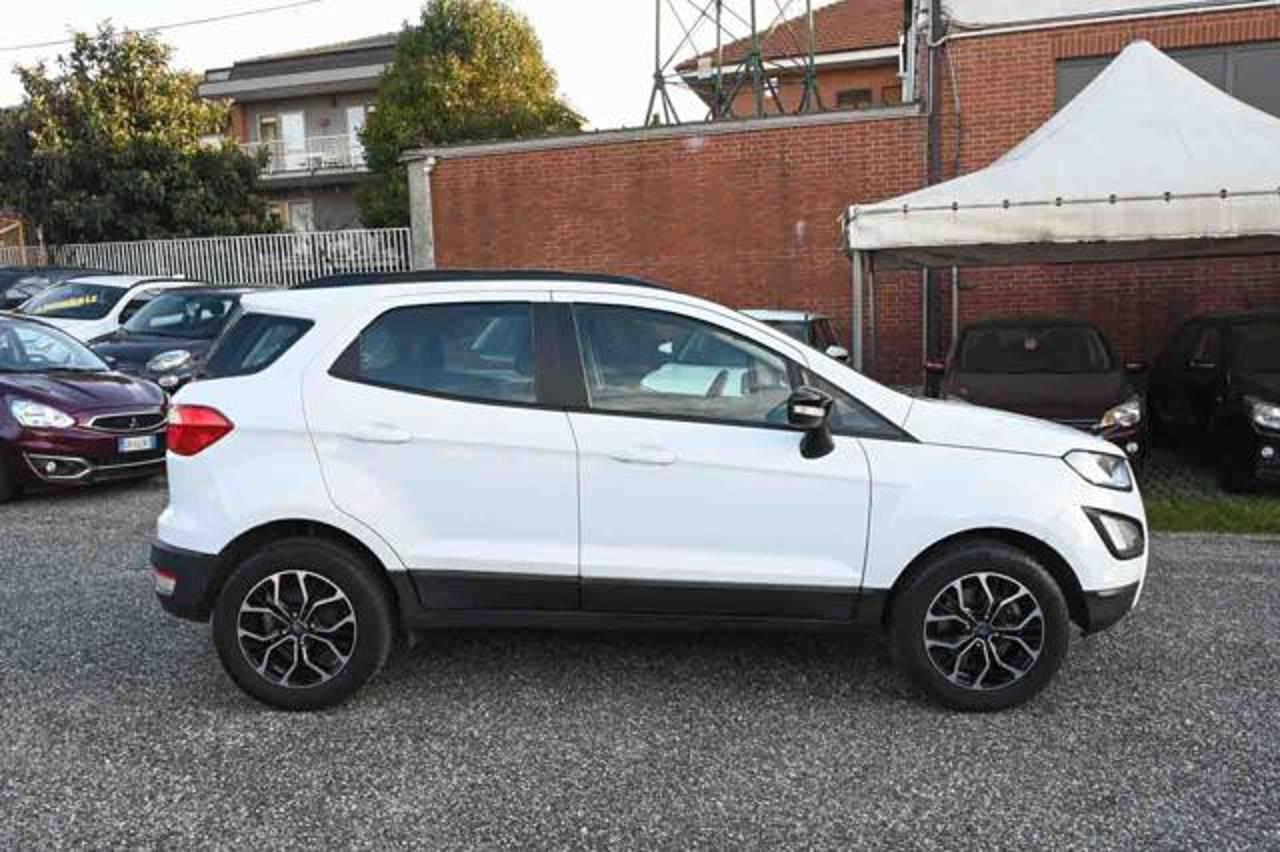 Ford Ford Ecosport usata 14