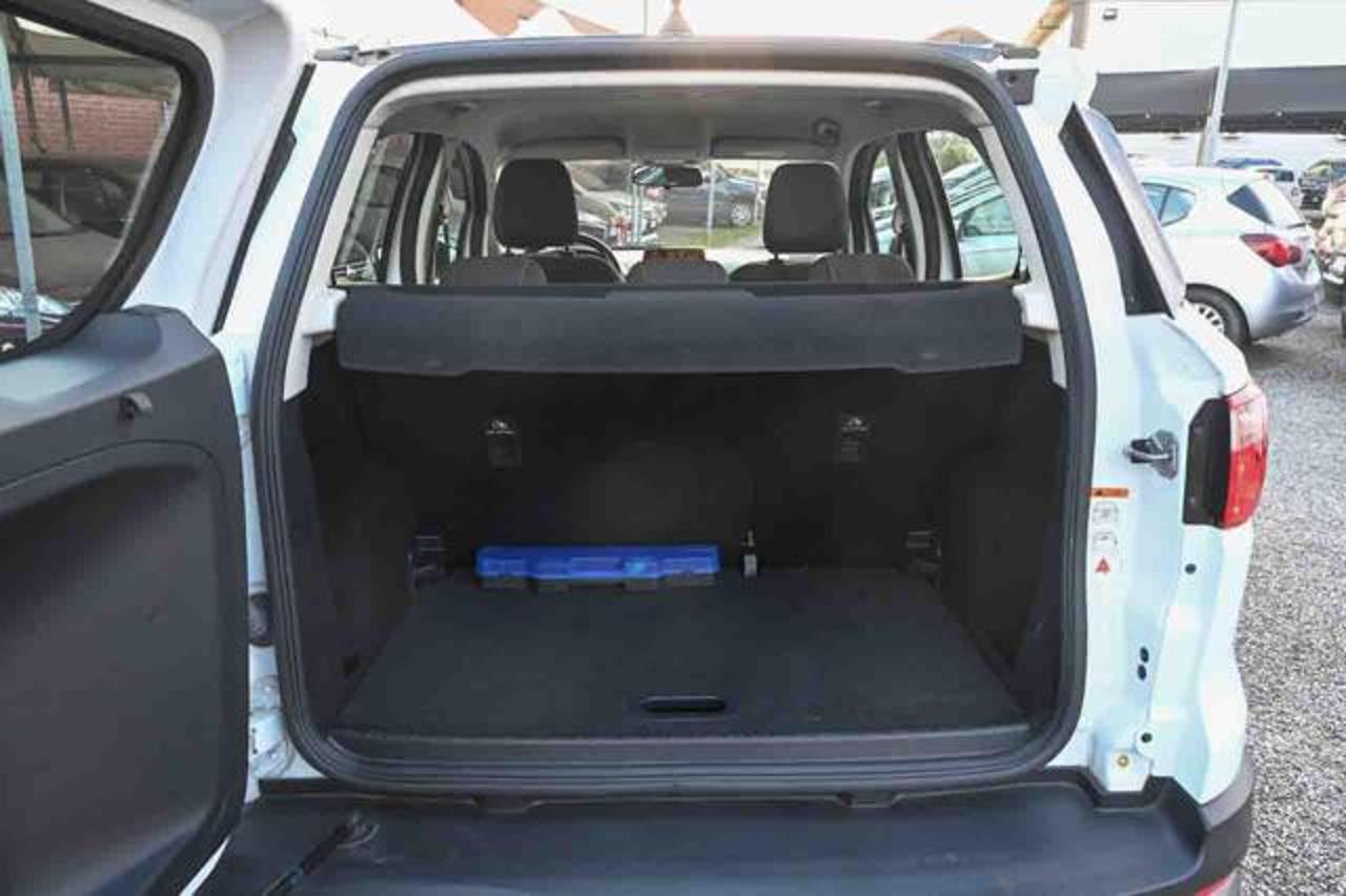 Ford Ford Ecosport usata 19