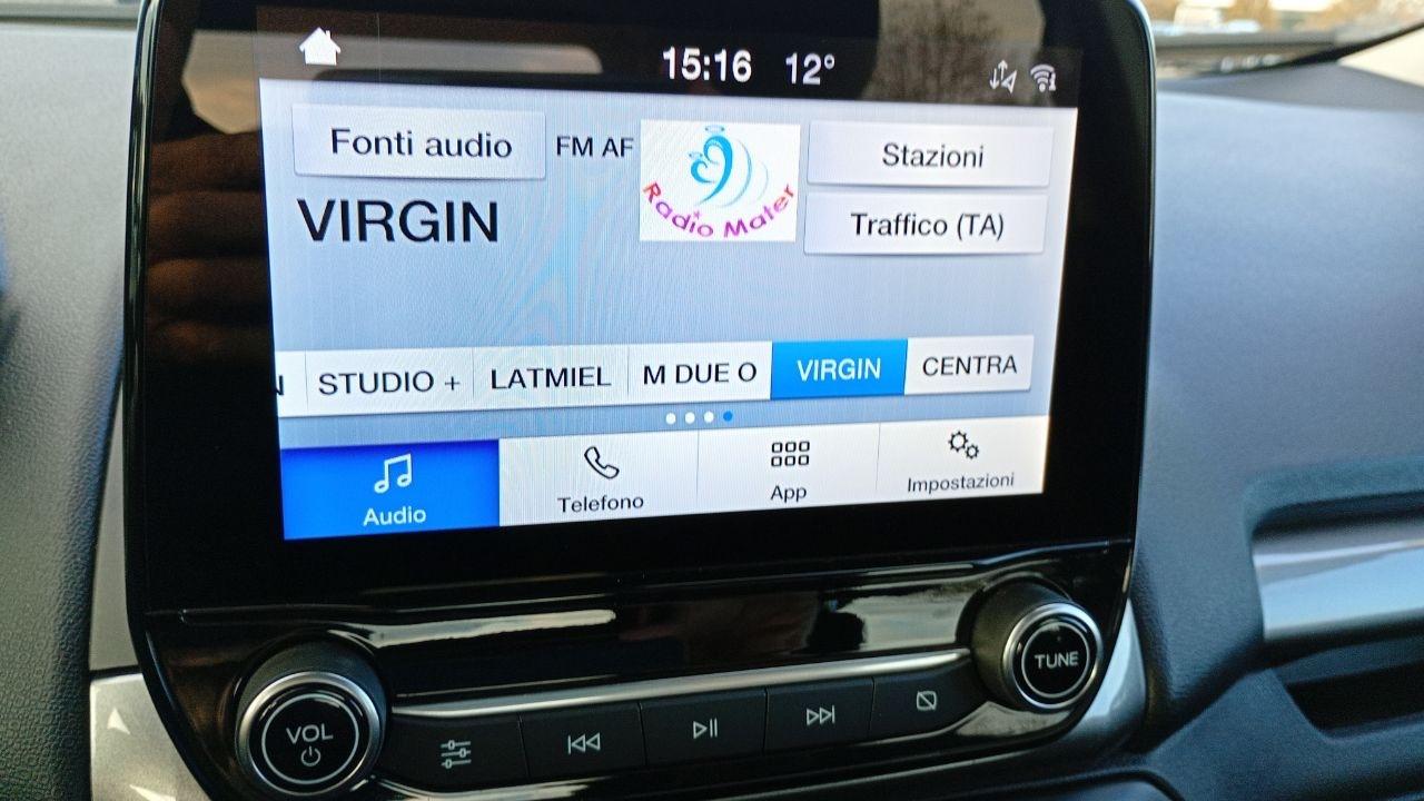 Ford Ford Ecosport usata 7