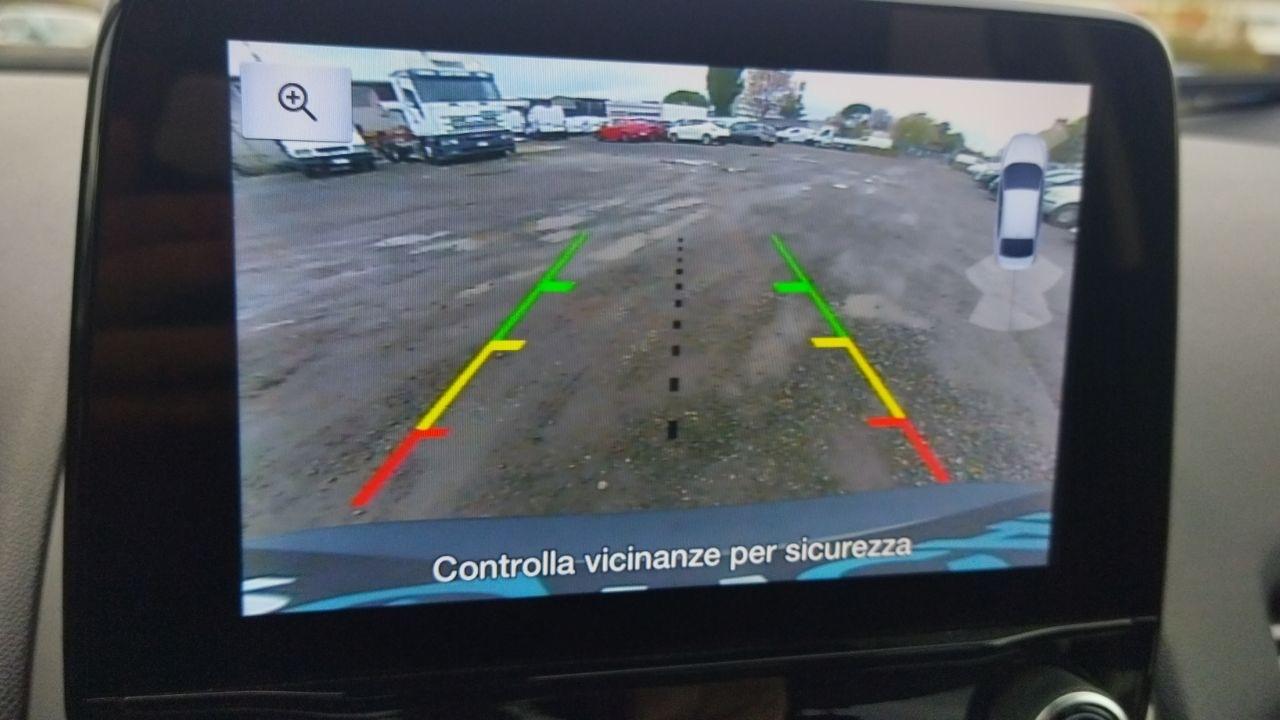 Ford Ford Ecosport usata 9