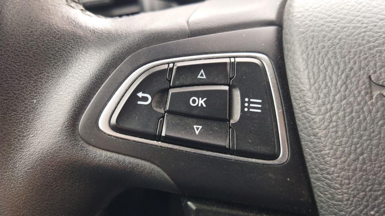 Ford Ford Ecosport usata 12