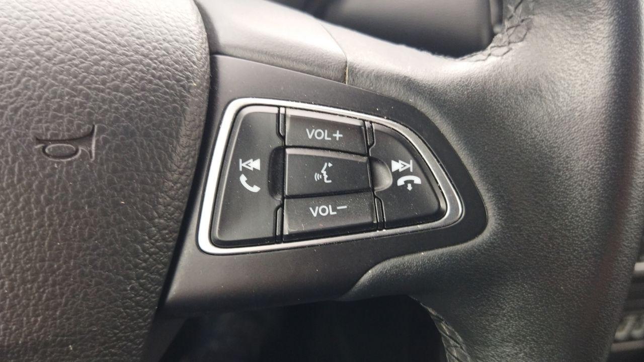 Ford Ford Ecosport usata 13