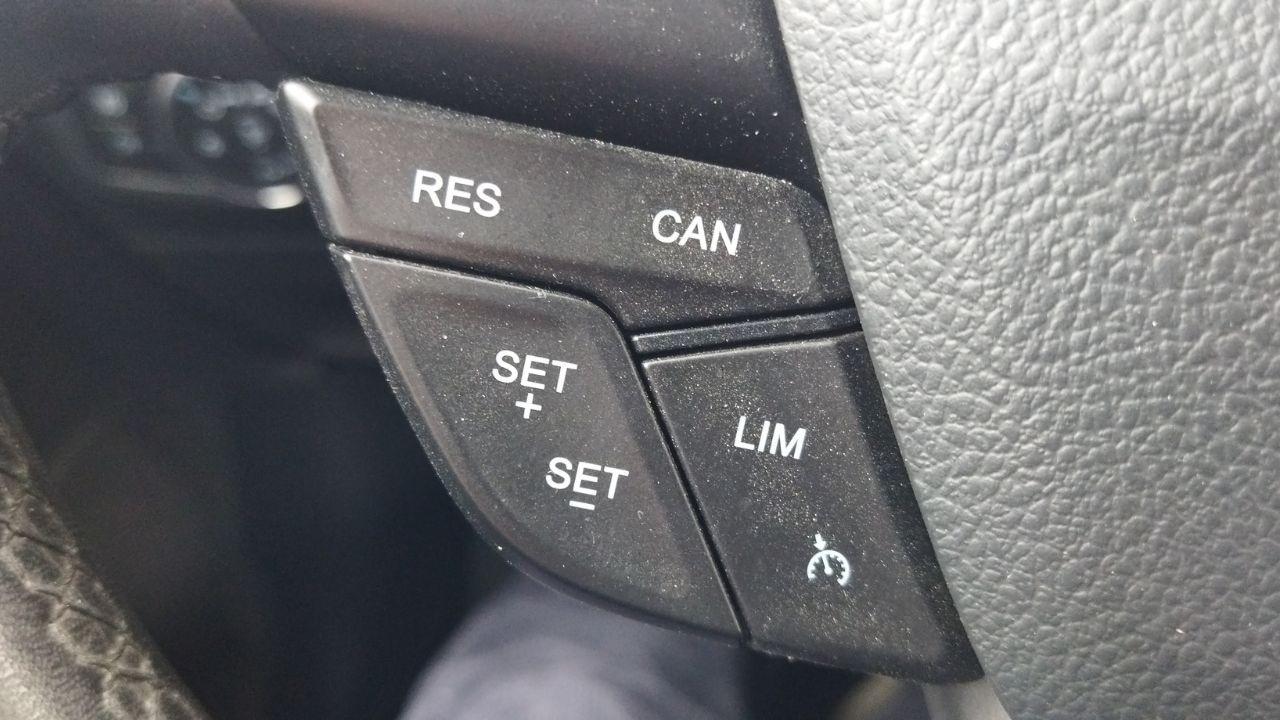 Ford Ford Ecosport usata 14