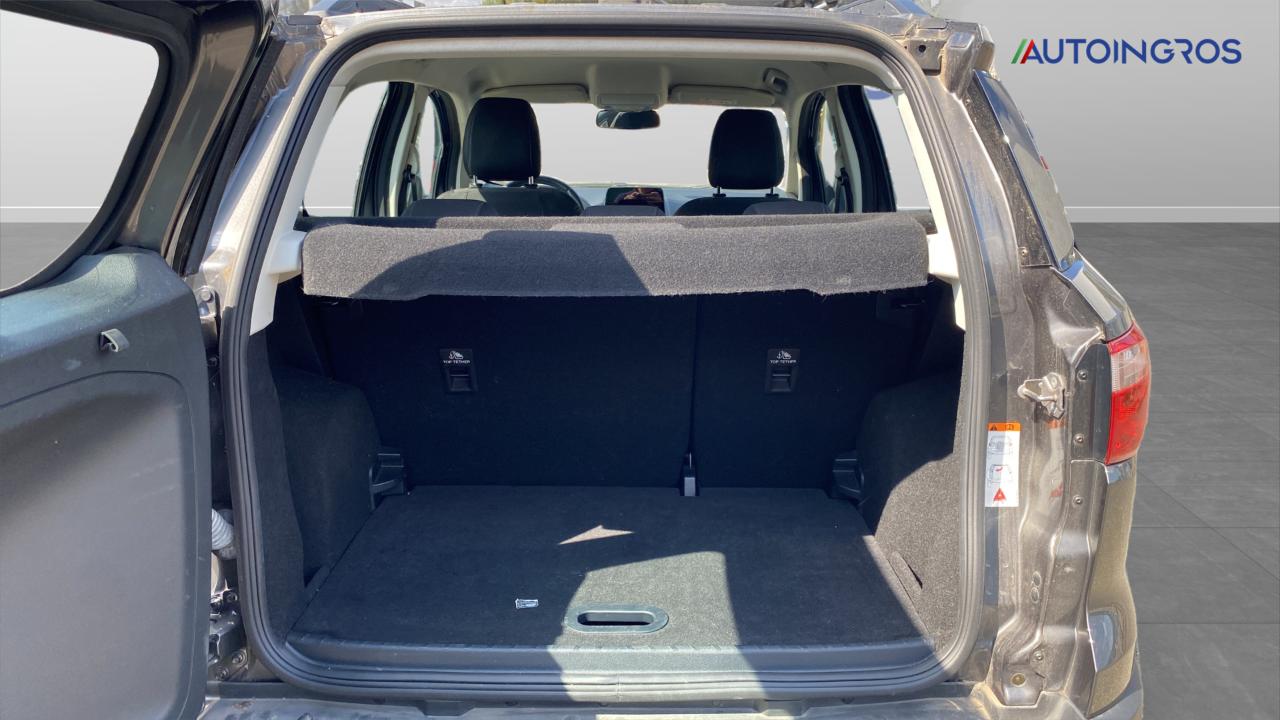 Ford Ford Ecosport usata 1