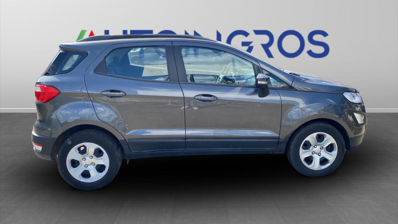 Ford Ford Ecosport usata 11