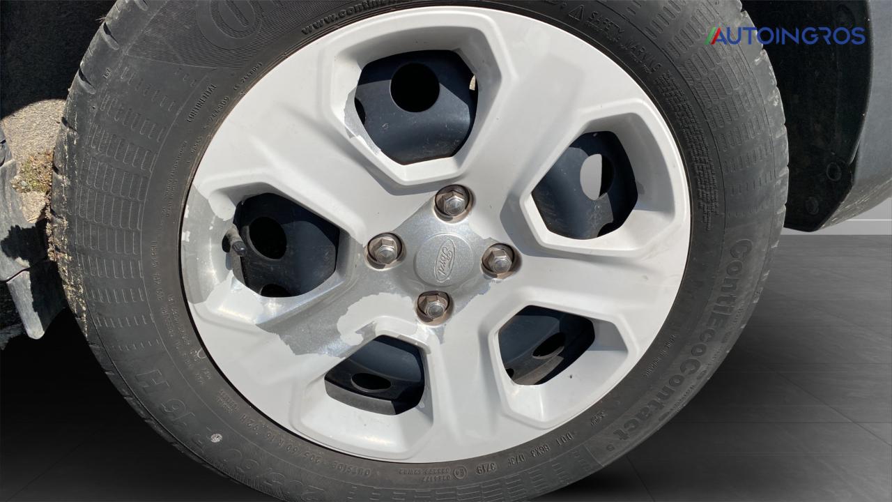 Ford Ford Ecosport usata 14