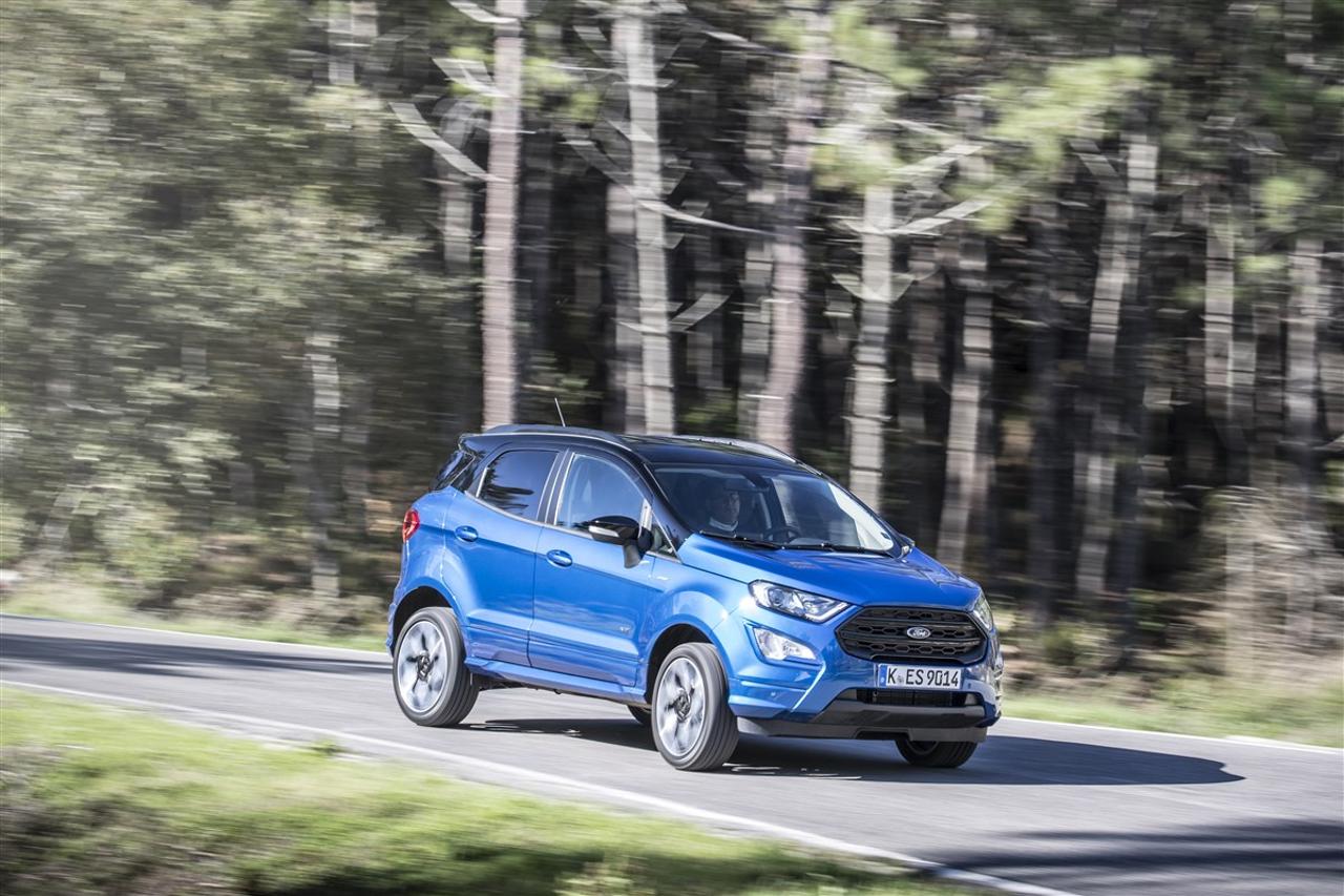 Ford Ford Ecosport usata 13