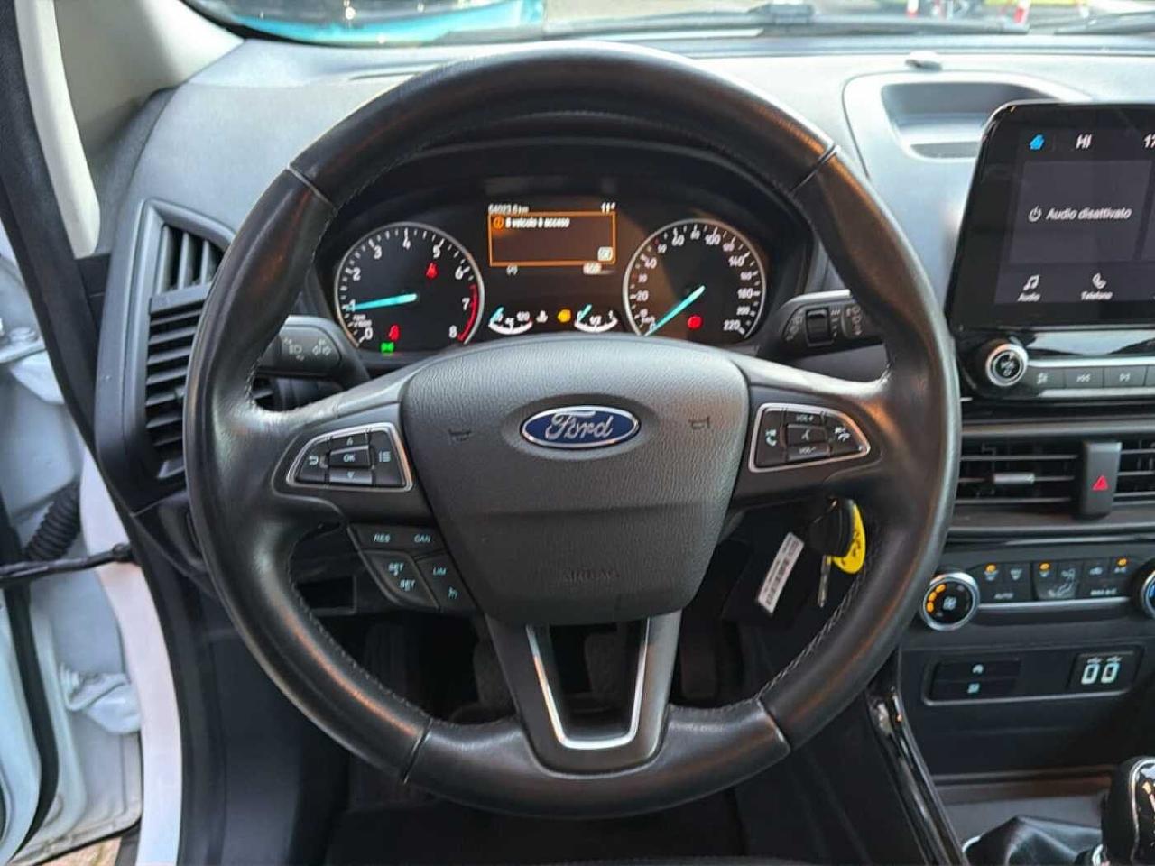 Ford Ford Ecosport usata 1