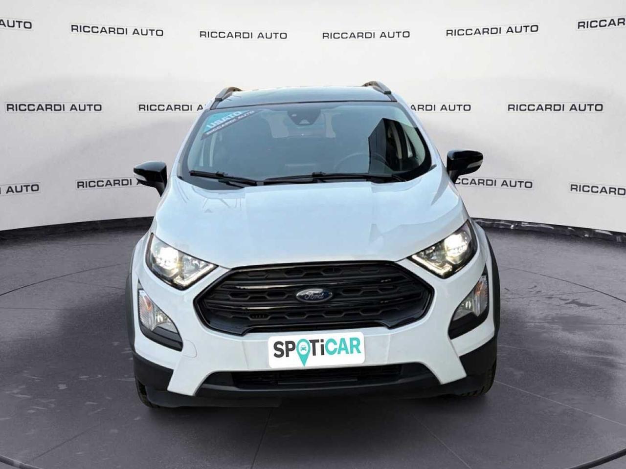 Ford Ford Ecosport usata 11