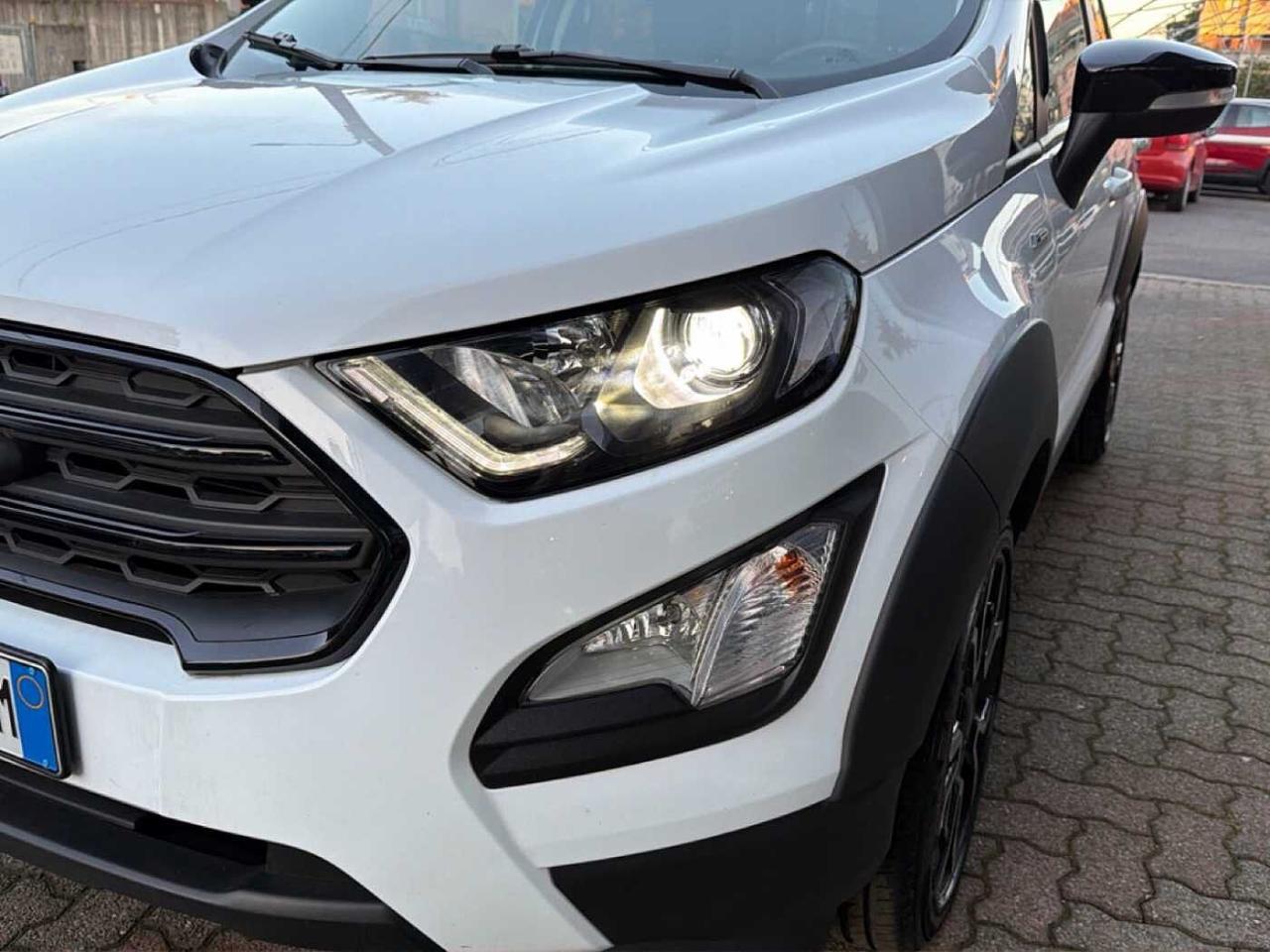 Ford Ford Ecosport usata 13