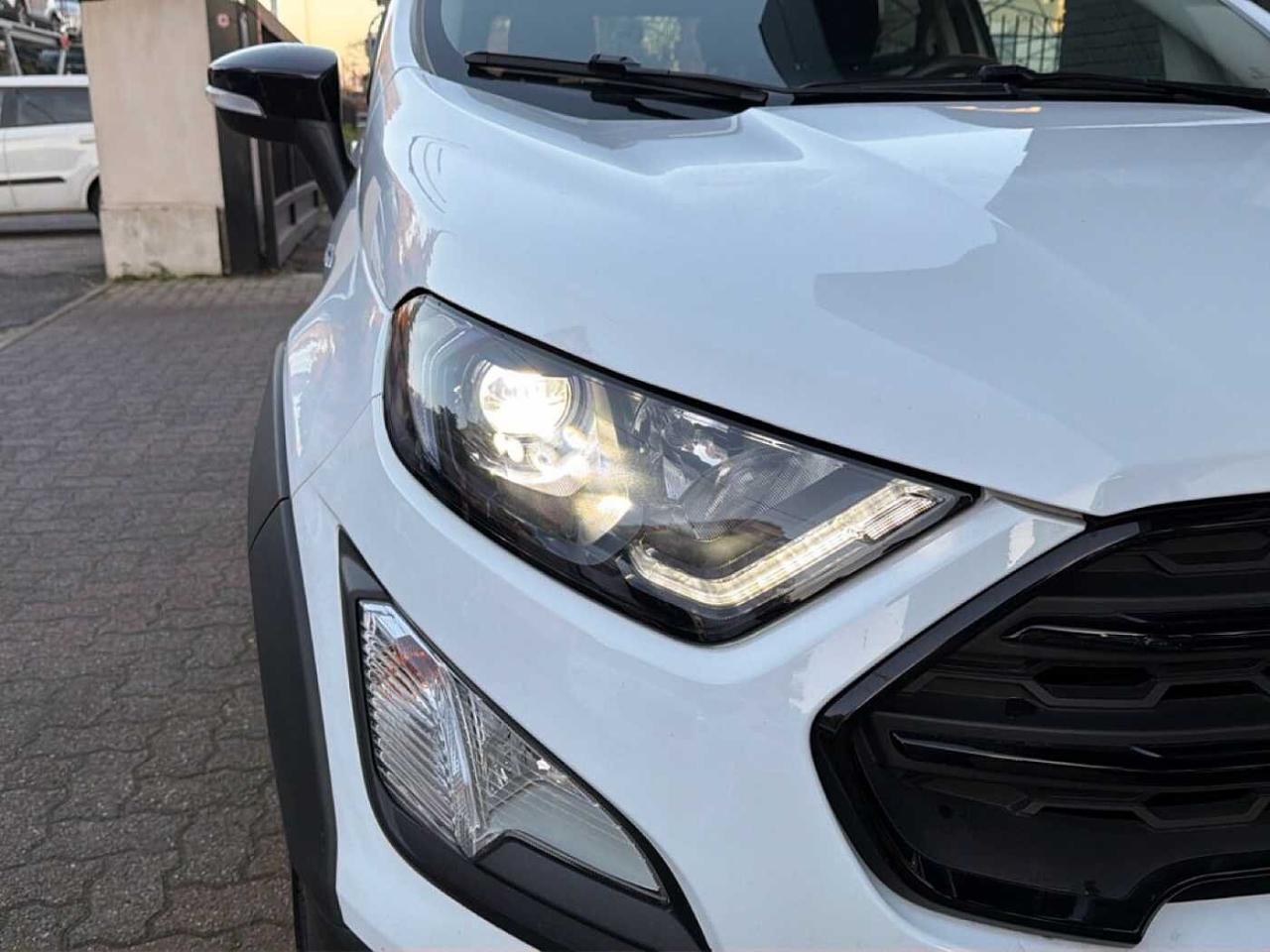 Ford Ford Ecosport usata 14