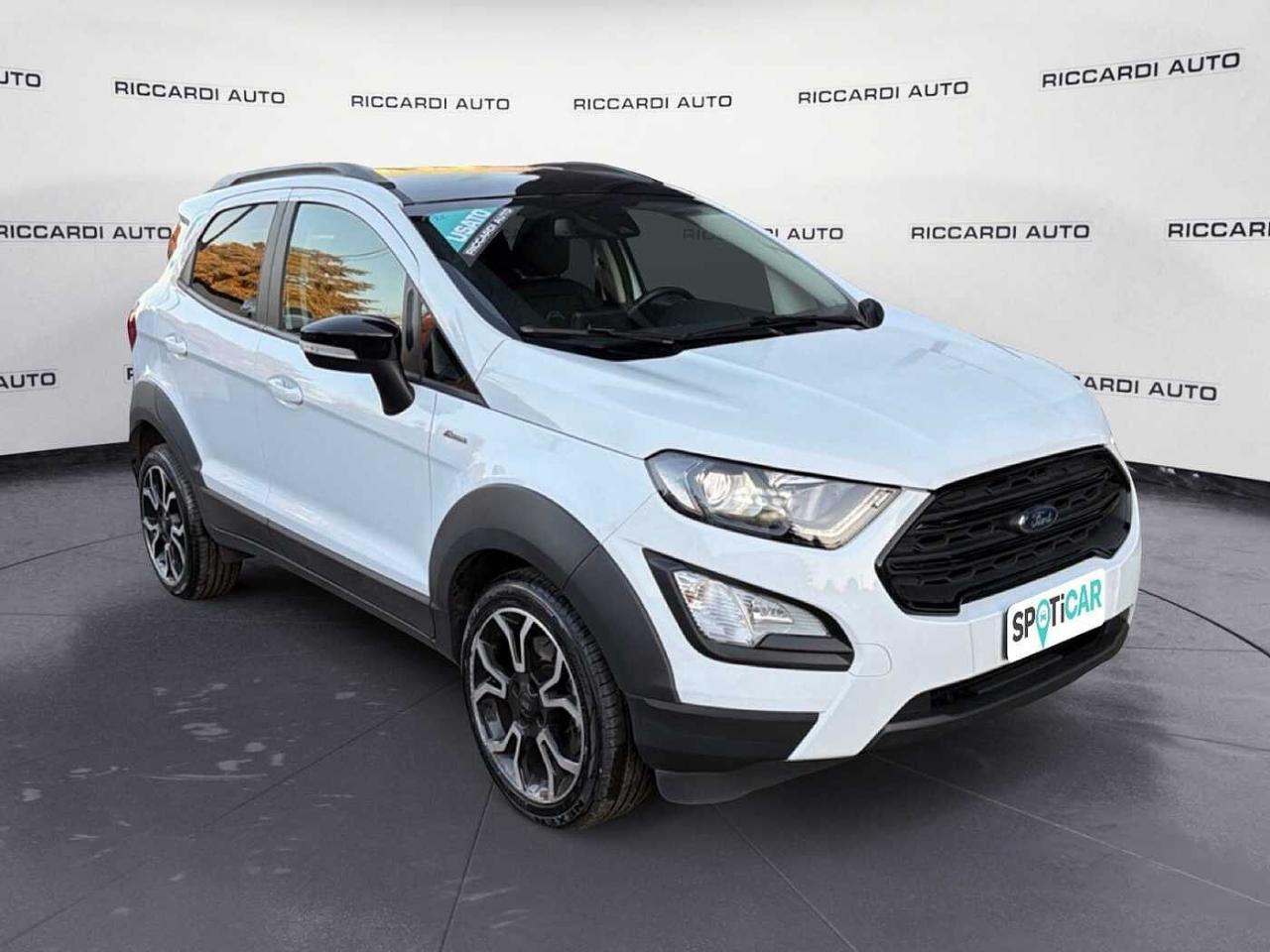 Ford Ford Ecosport usata 18
