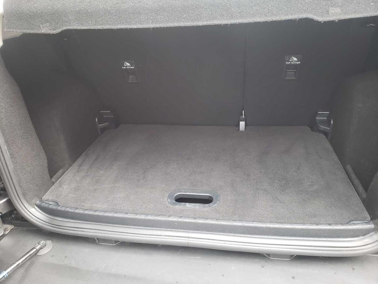 Ford Ford Ecosport usata 7