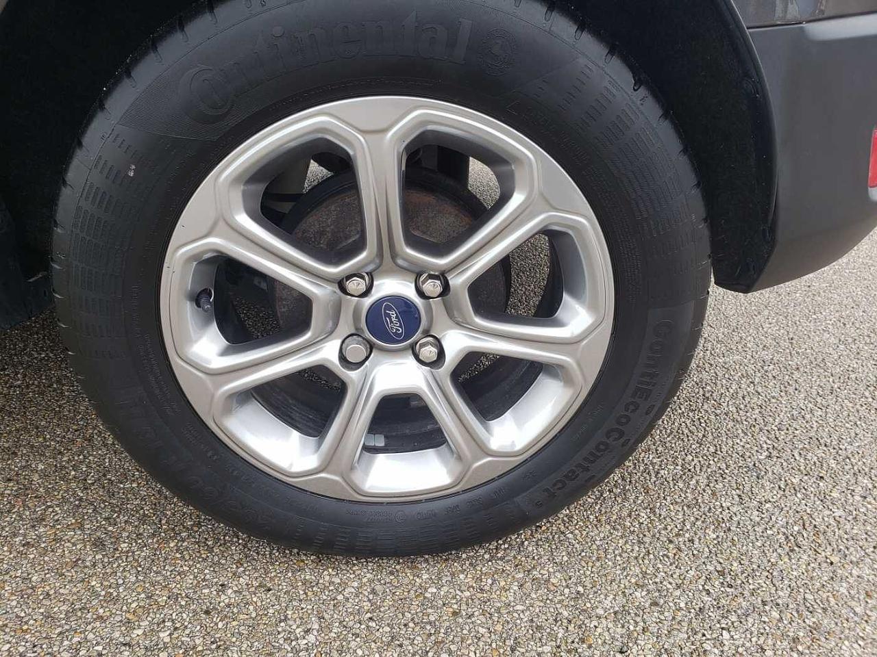 Ford Ford Ecosport usata 13