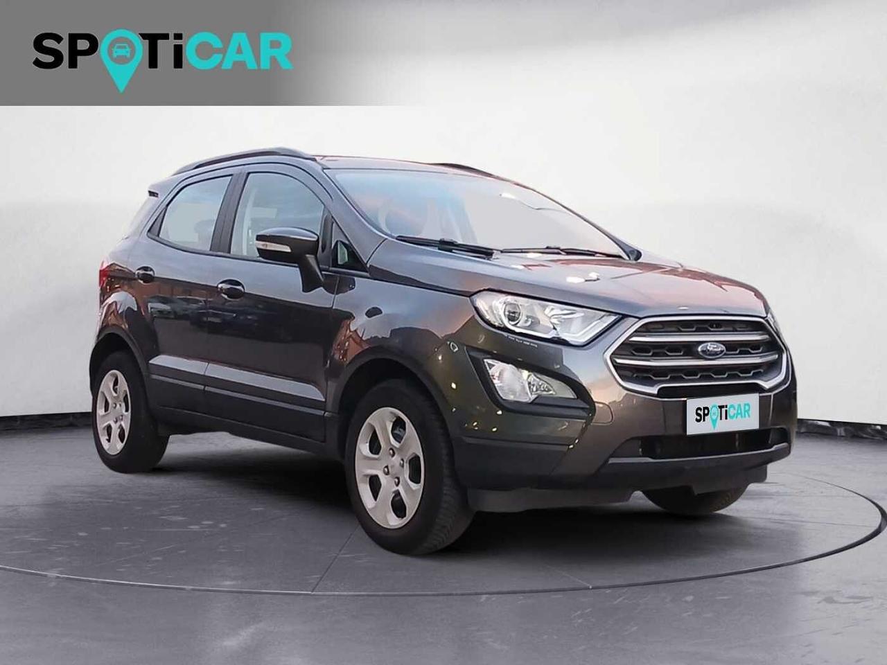 Ford Ford Ecosport usata 14