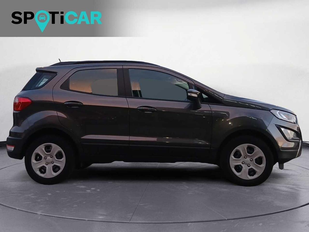 Ford Ford Ecosport usata 15