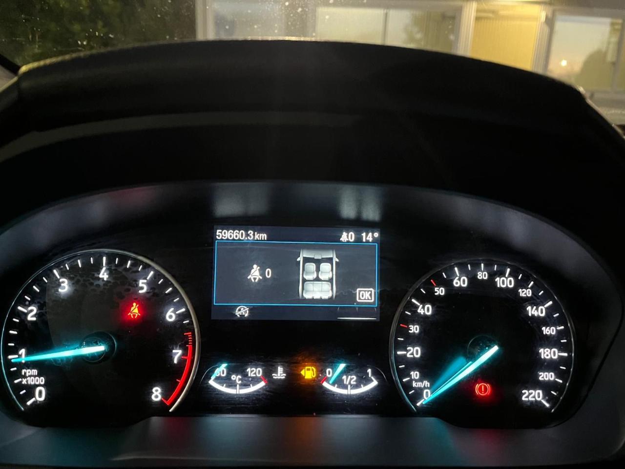 Ford Ford Ecosport usata 9