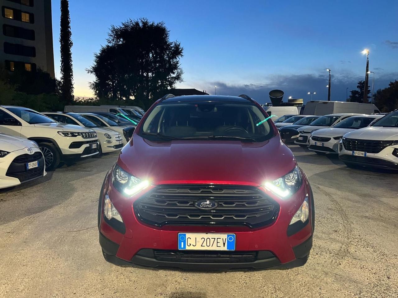 Ford Ford Ecosport usata 11