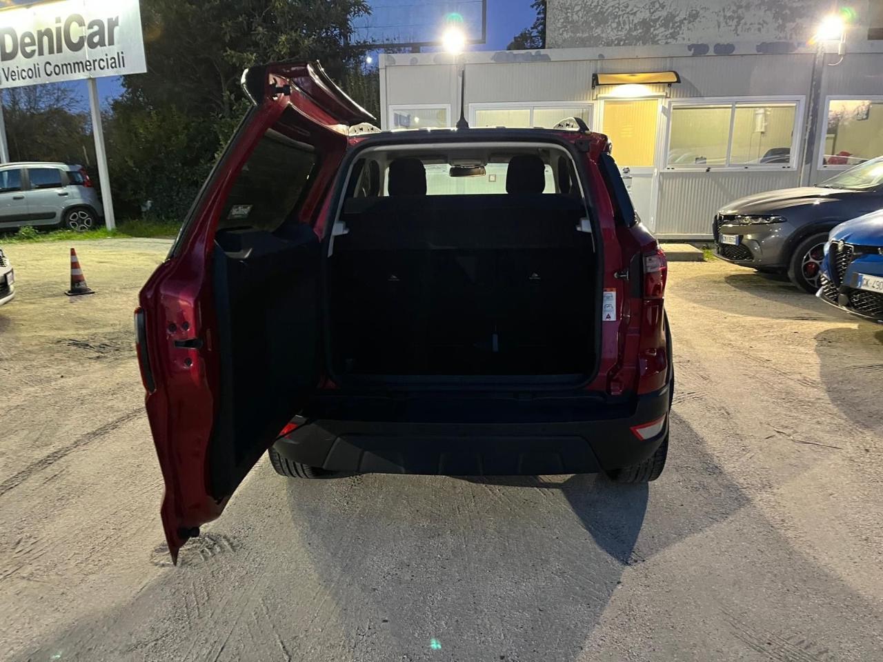 Ford Ford Ecosport usata 18