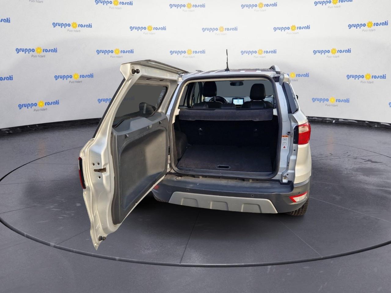 Ford Ford Ecosport usata 1