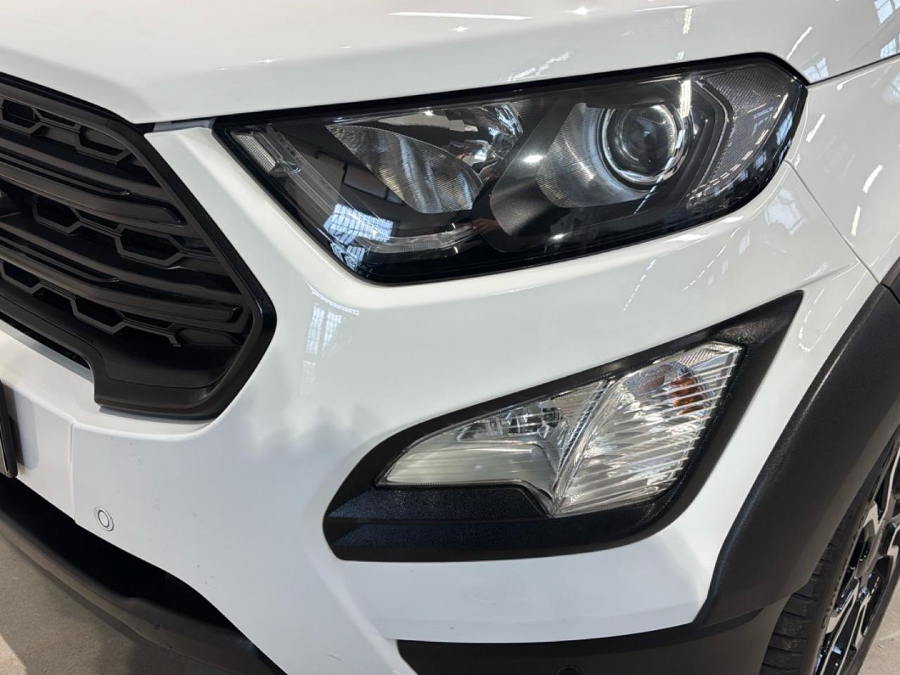 Ford Ford Ecosport usata 10