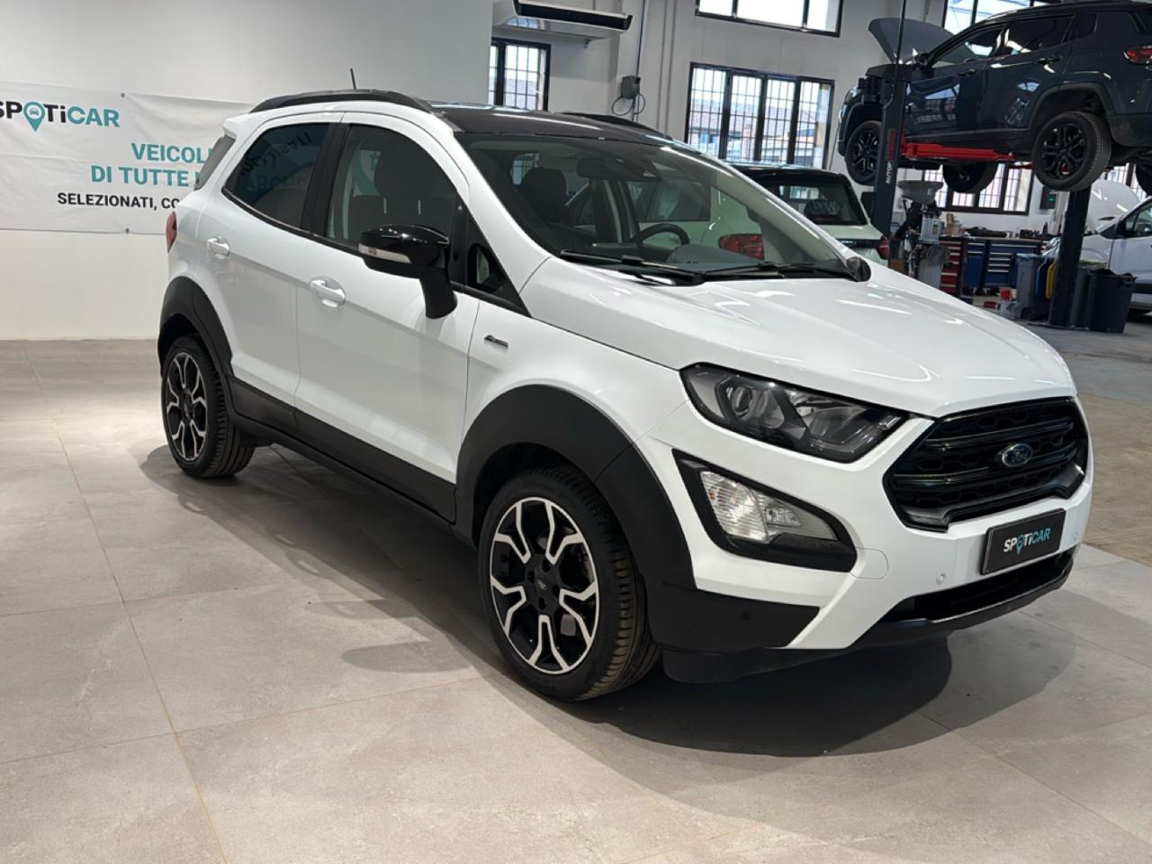 Ford Ford Ecosport usata 13