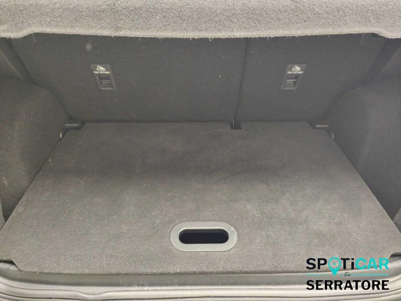 Ford Ford Ecosport usata 8