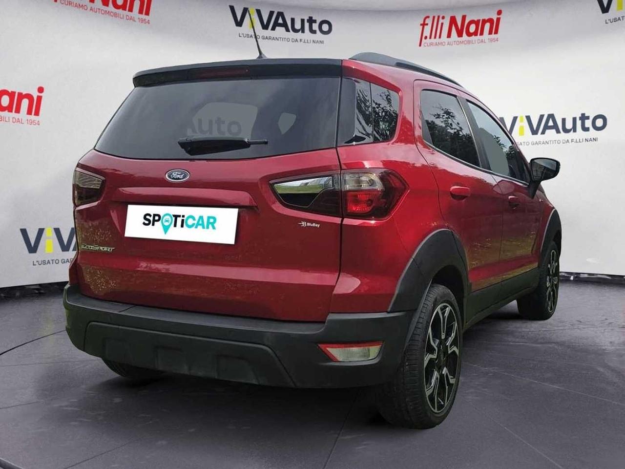 Ford Ford Ecosport usata 11