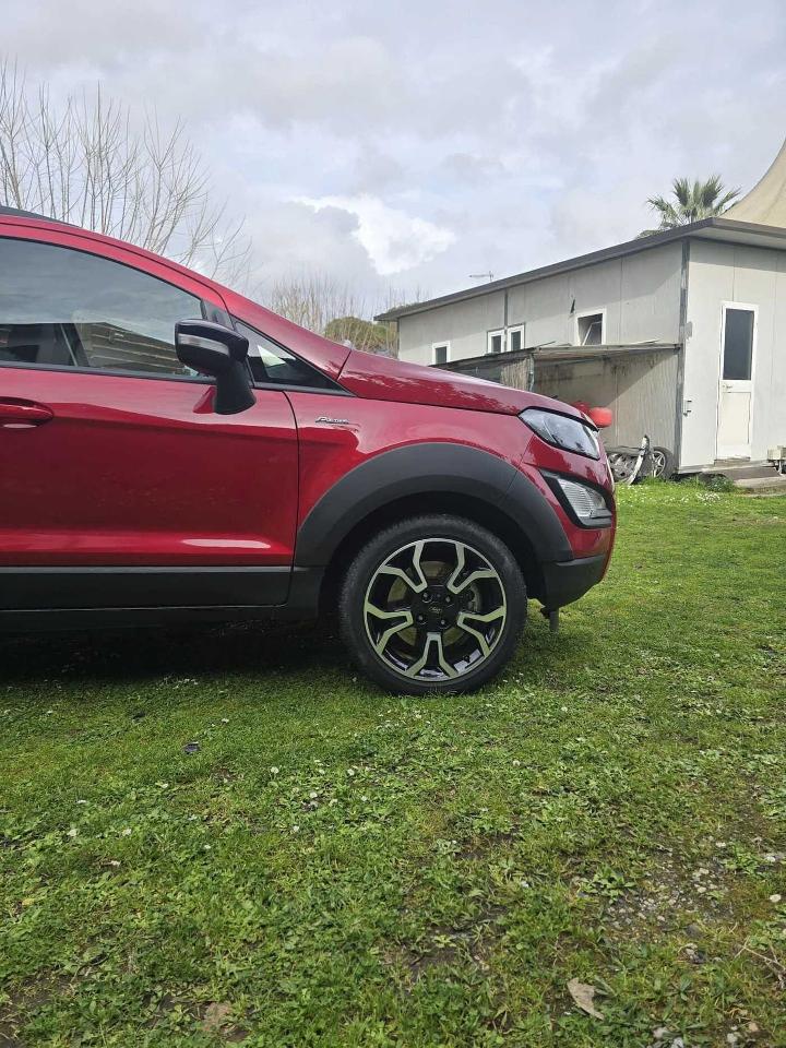 Ford Ford Ecosport usata 12