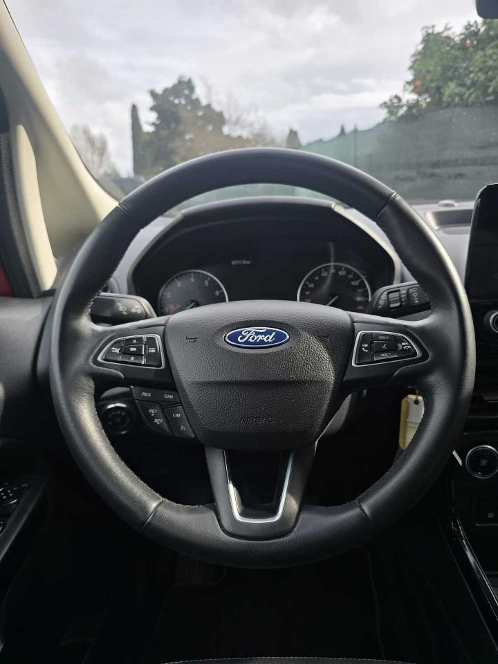 Ford Ford Ecosport usata 14