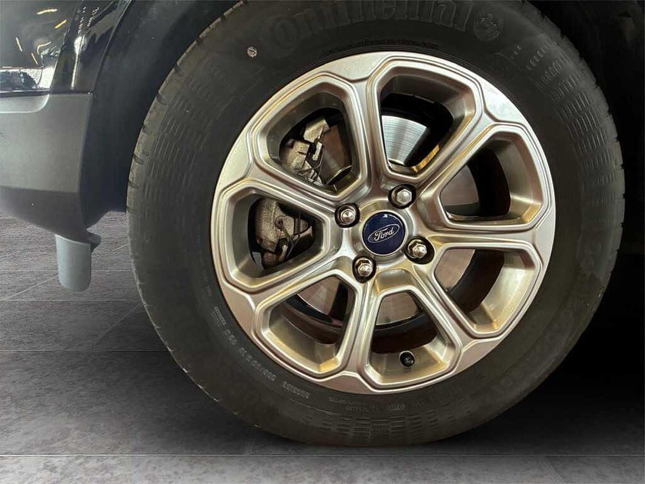 Ford Ford Ecosport usata 9