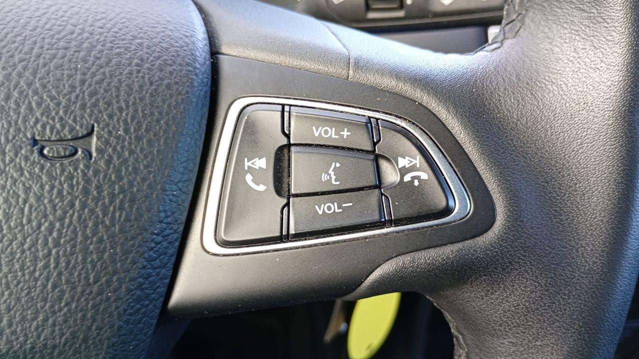 Ford Ford Ecosport usata 10